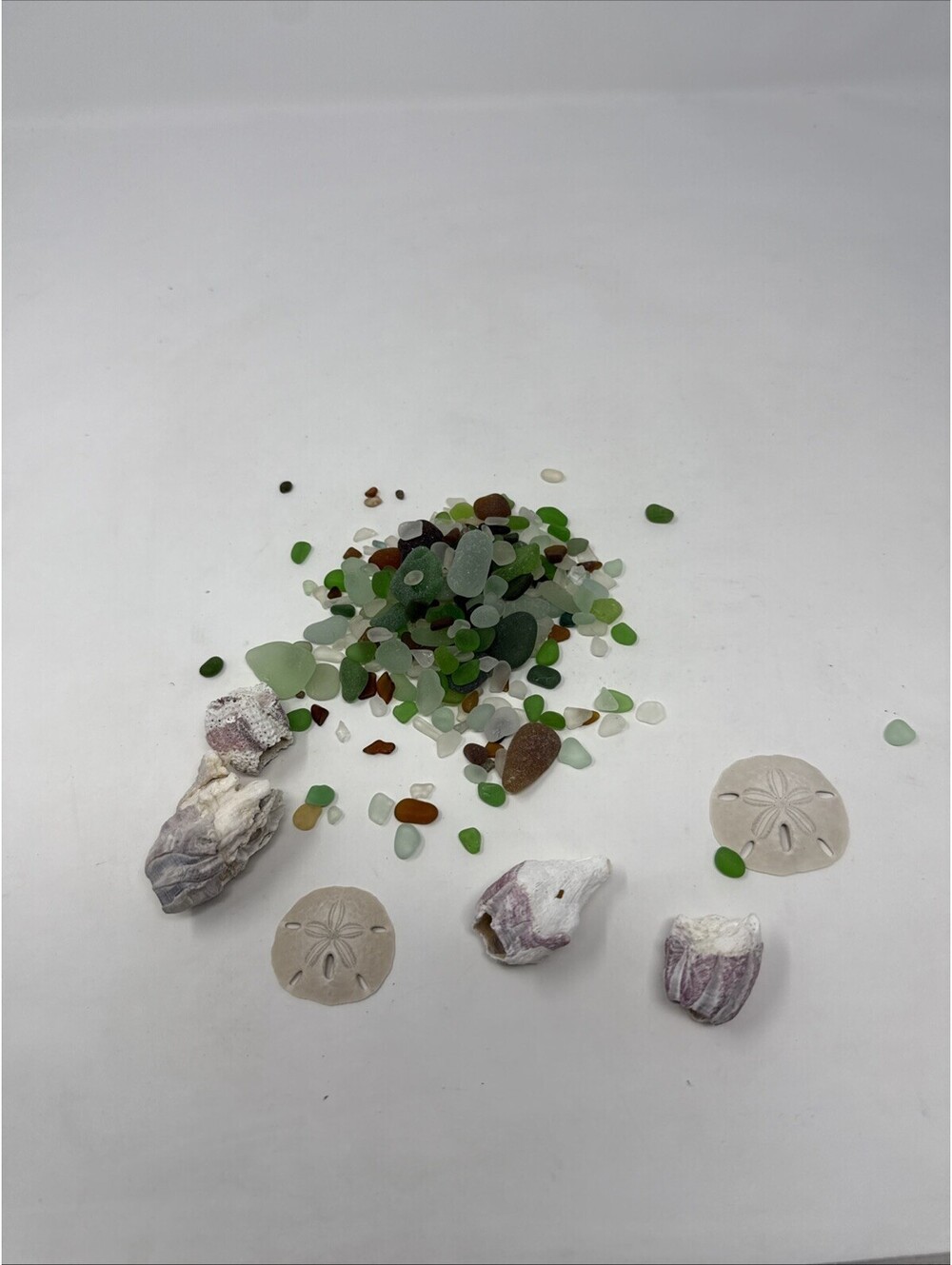 Seashells and sea glass and Sand dollars small Lot